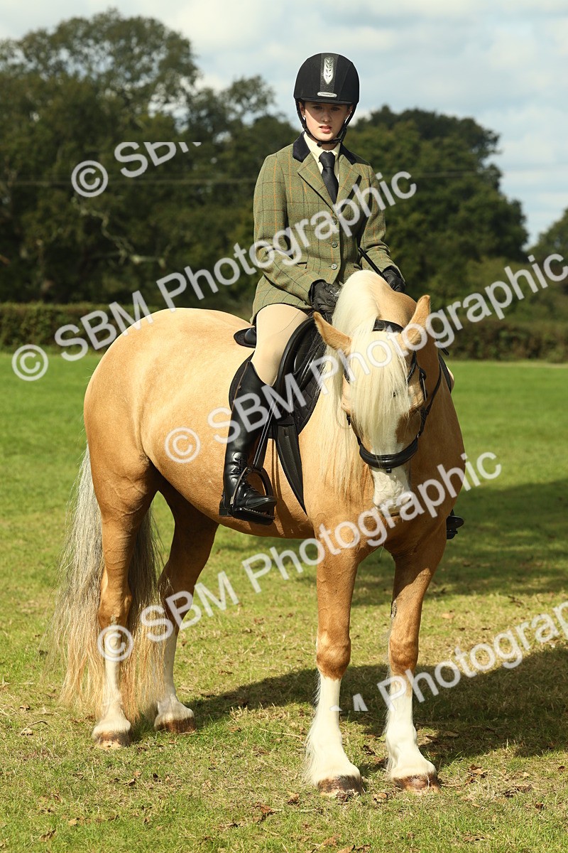 SBM_62682 - S63 - Other Coloured Horse Ridden
