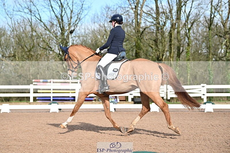 240218A-114245-06819 - 272-Beth.Bainbridge-Newton.Dreamcatcher