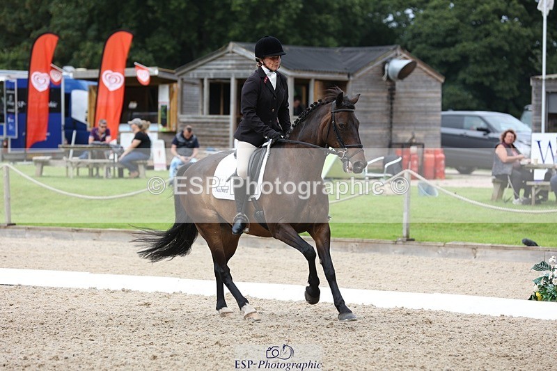 230812-122420-04008 - Cls 5 Novice Bronze 11.15 to 12.50 break