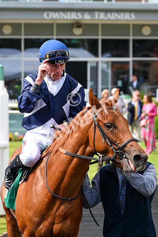 310526-Race 1-Alfred Wallace-8049 - Race 1 15.45pm Enter ITV7 For Free Novice Stakes