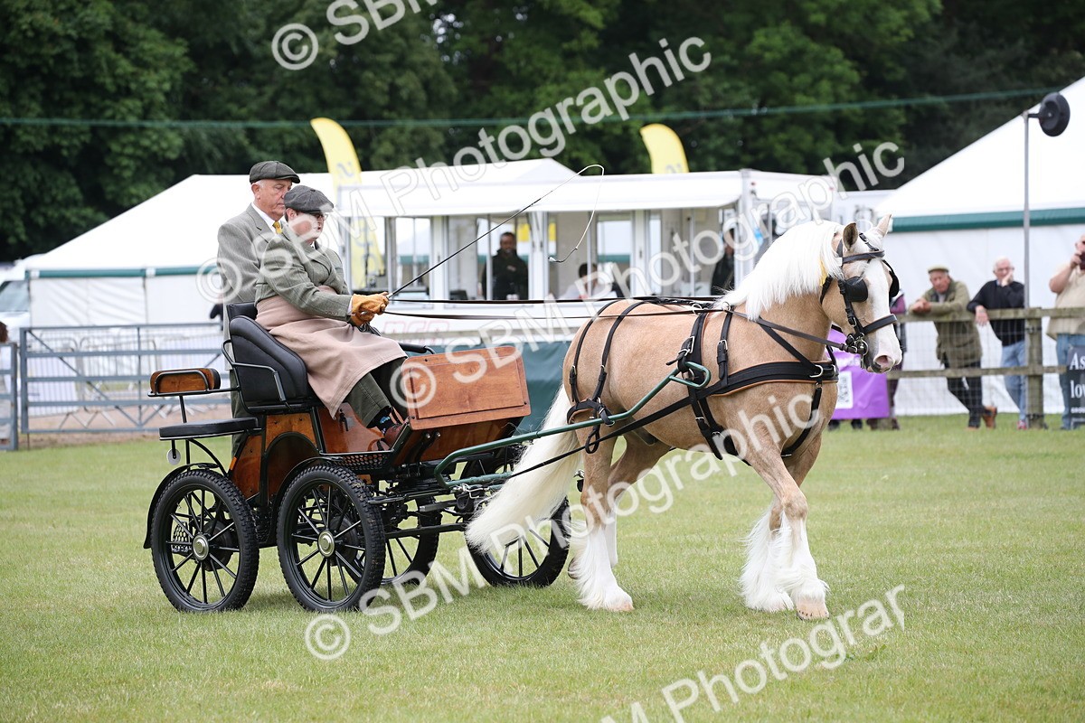 SBM_05675 - Class 12-15 - HOYS Private Driving