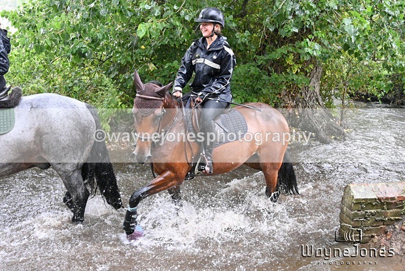 WJ7_8403-001 - Edited examples