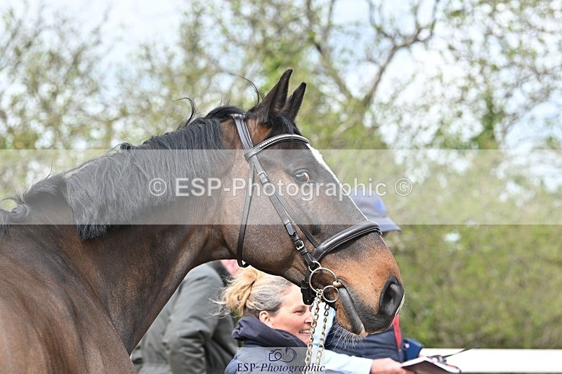 250423-110506-00002 - 11am to 12