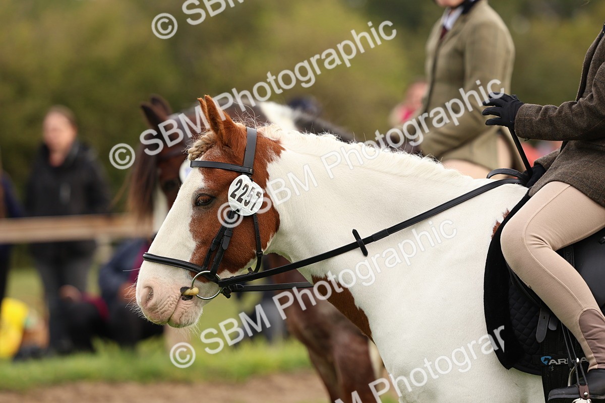 SBM_56690 - S40 - Starters Ridden Showing