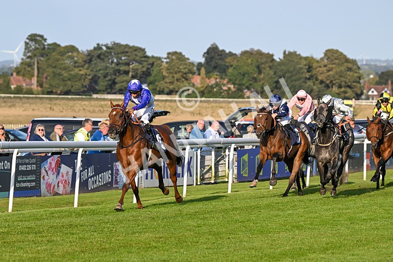 180924-Race 8-Inappropriate-5394 - Race 8