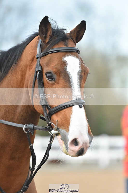 231111A-145348-02338 - Cls 14 Blue Chip 1.25m Winter Qualifier