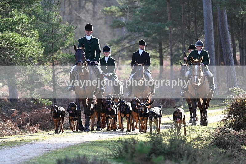 WJ7_7616 - Line 3 (no line 4 or 5)