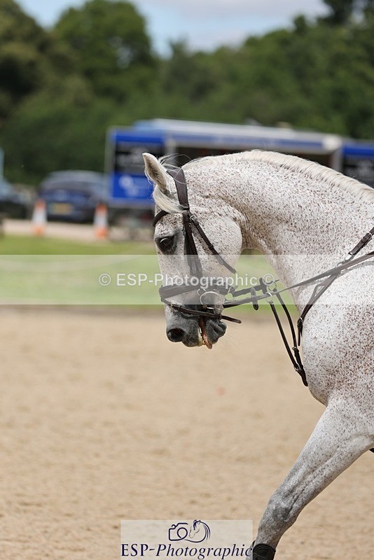 240711-130009-27439 - Cls 122 1.10m Amateur Quali