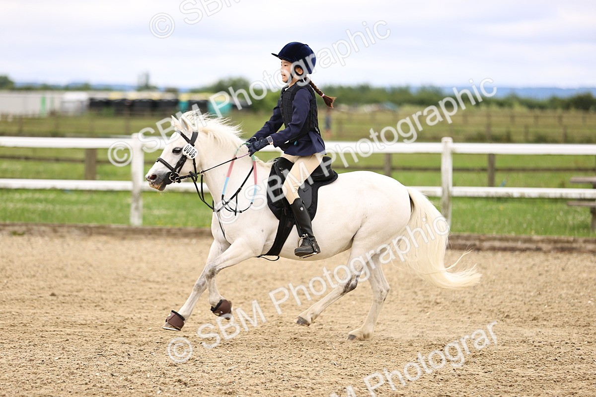 SBM_000116 - 50cm