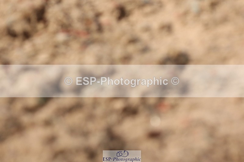 240622A-163054-14648 - Cls 36 BD Adv Medium 98