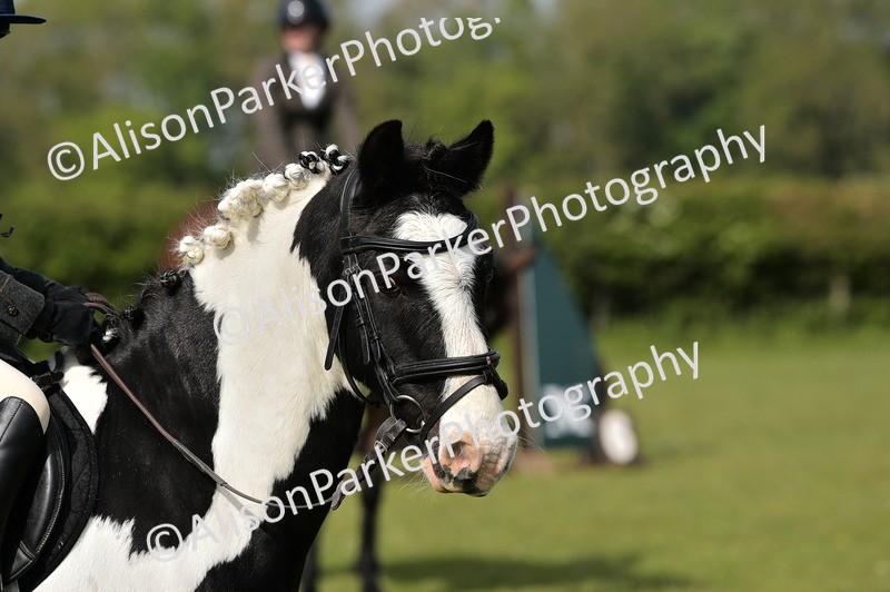 20260426-0933 - Class 18 - Novice Showing