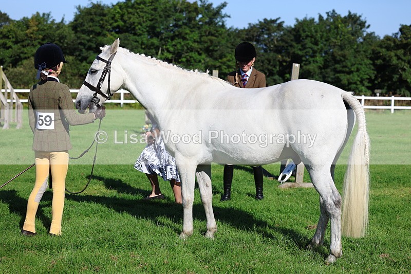 3E7A7690 - Class 1: Novice Working Hunter Pony