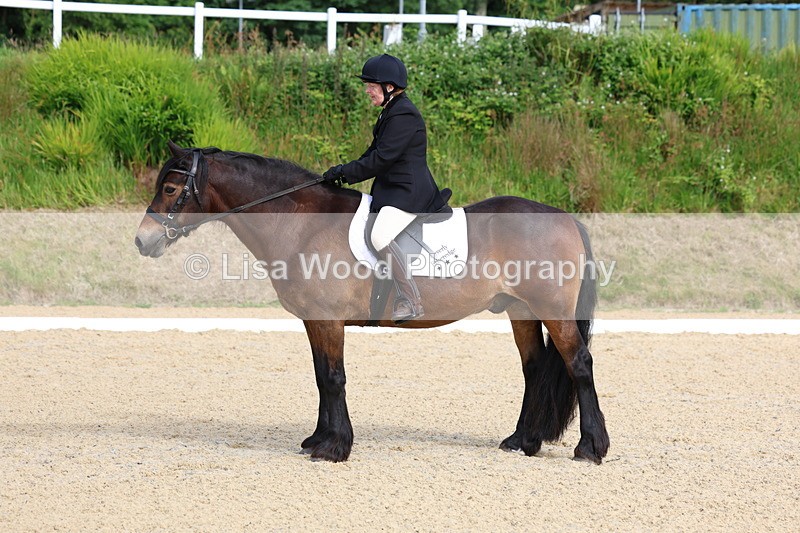 3E7A1423 - Class 2: Intro 2 2024 Section B