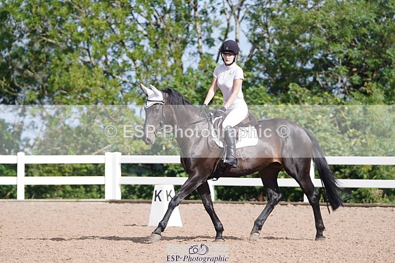 240809A-092648-00235 - Dressage Competition