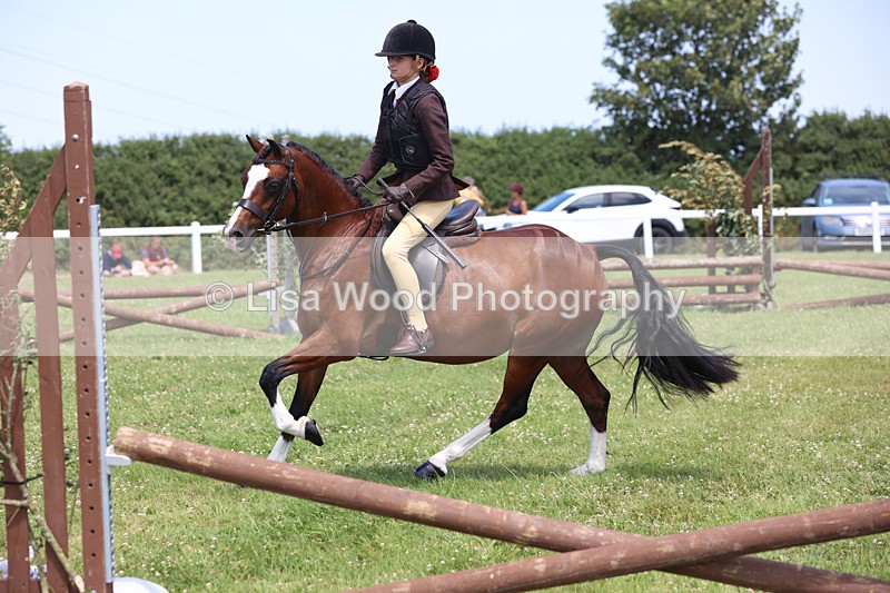 JPP_2628 - Class 21: Working Hunter 60cm