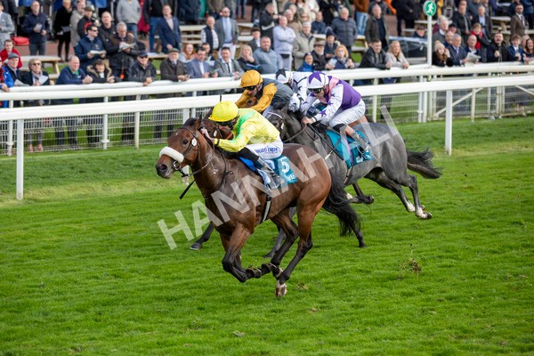 111024-Race 4-End Of Story-6920 - Race 4 3.10pm Parsonage Hotel And Cloisters Spa Nursery Handicap