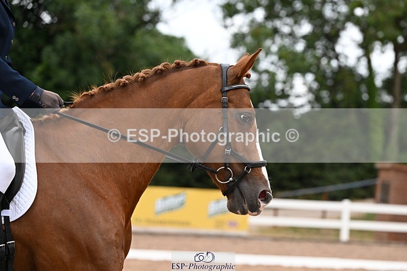 250705-165759-05865 - E1 Section BDE1 16.02 to  to 16.58