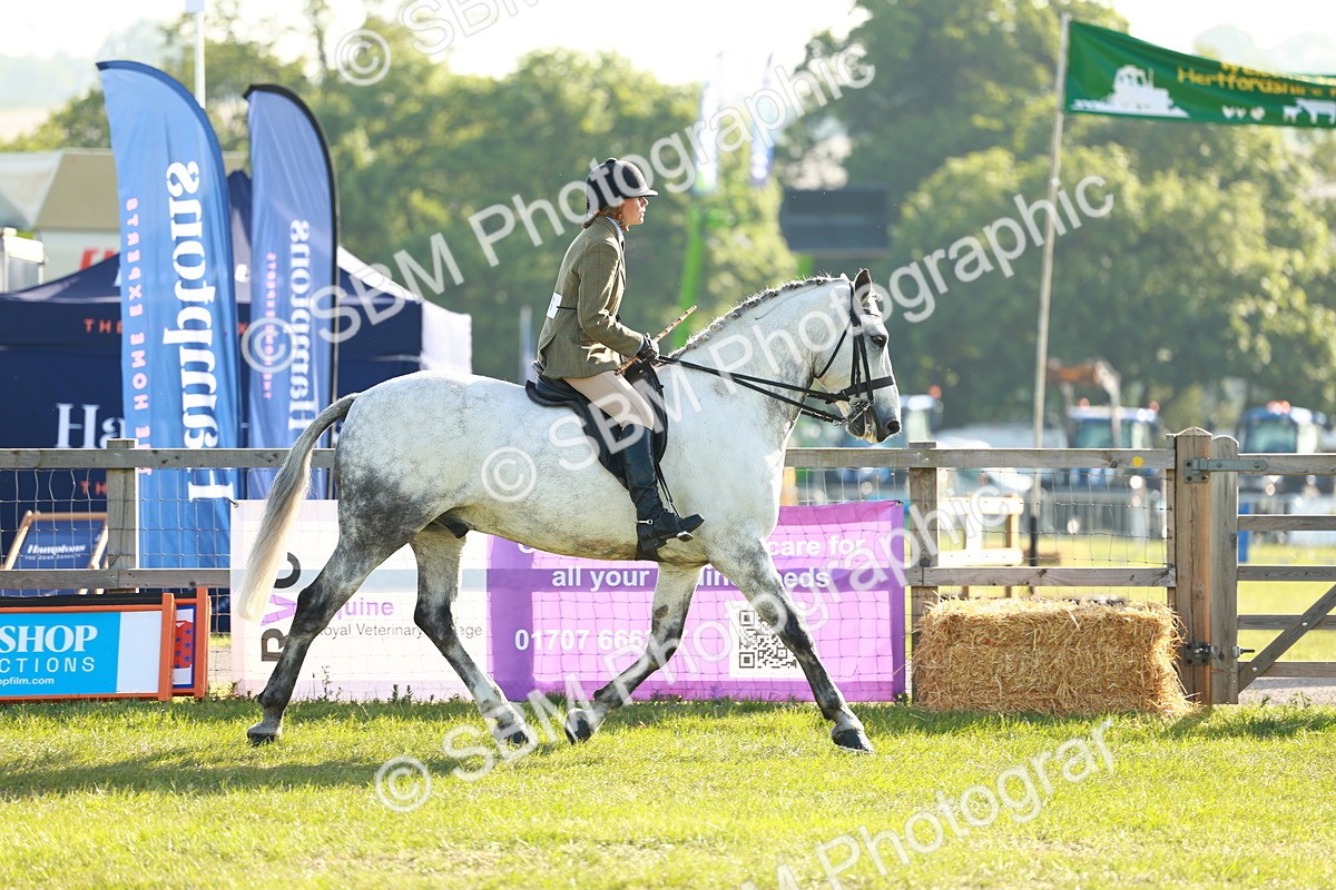 SBM_10723 - Class 66-69 - RIHS Ridden Hunters Inc Small Hunter