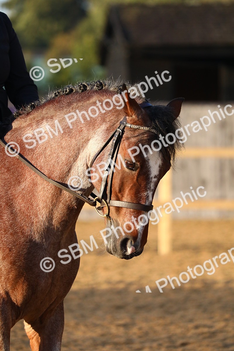 SBM_31804 - D11 - Small Tour Championship Prelim 1