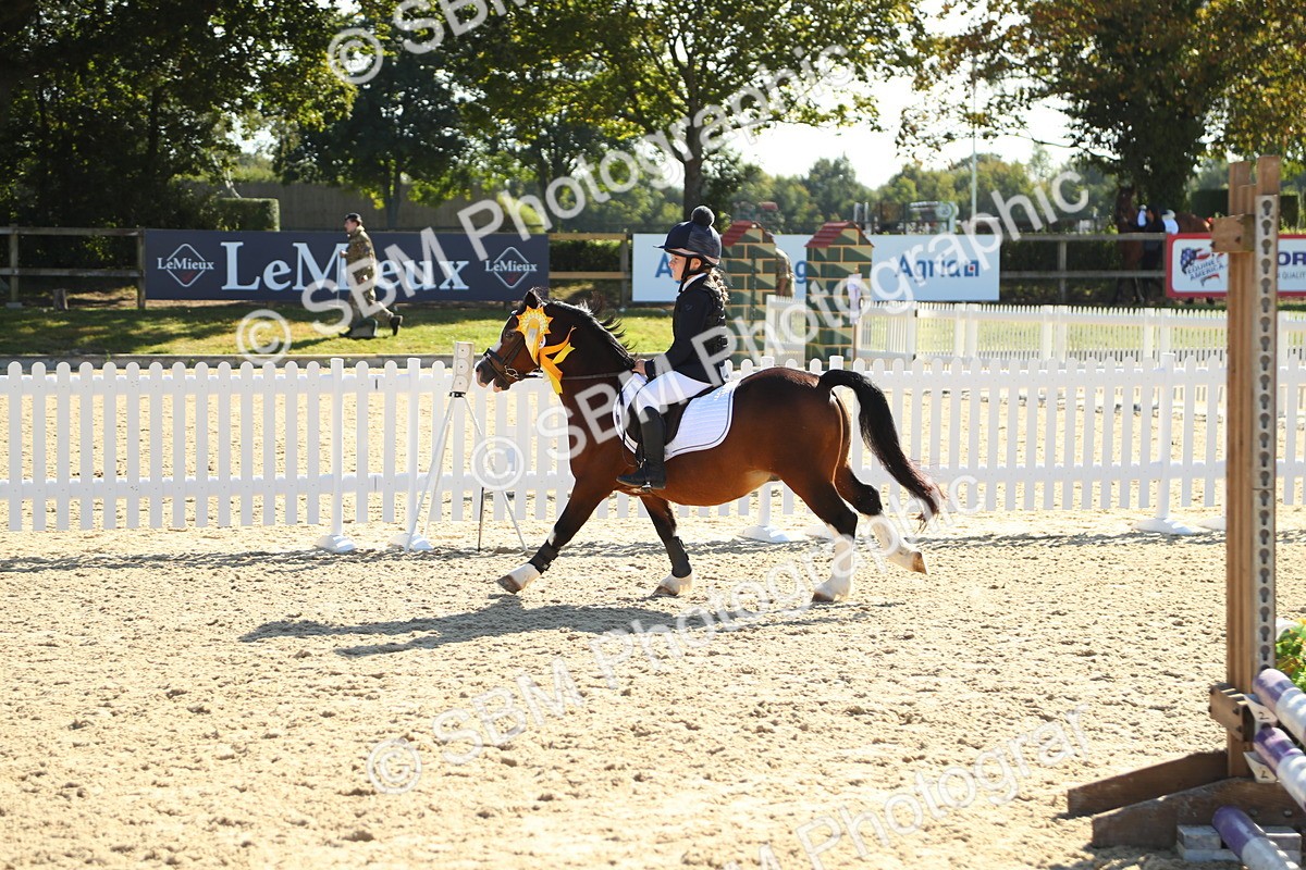 SBM_36085 - J5 - Junior Pony 50cm Championship