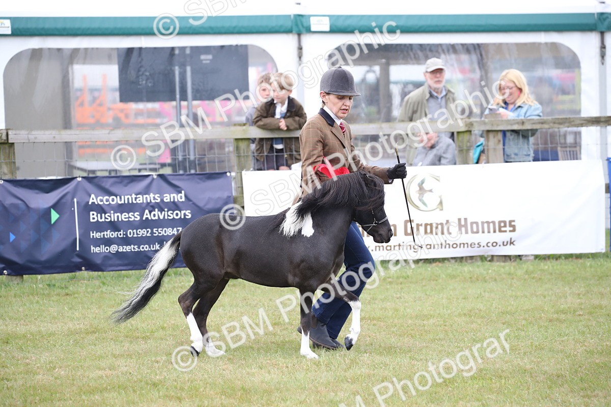 SBM_03843 - Class 23-25 - British Miniature Horse of the Year