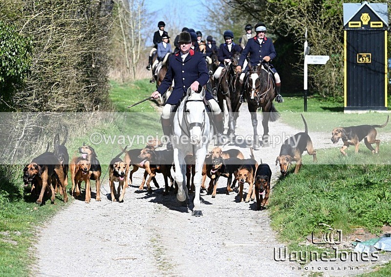 WJ7_9644 - Edited examples..