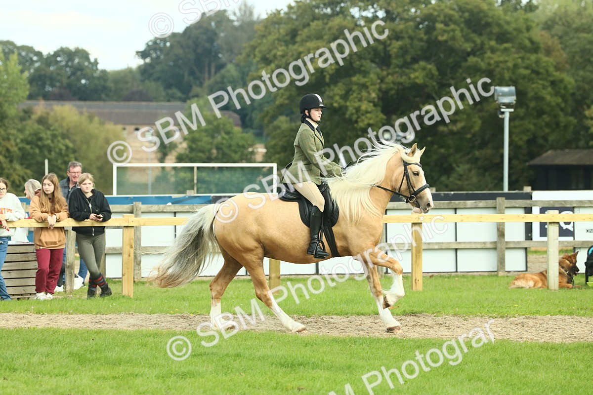 SBM_62666 - S63 - Other Coloured Horse Ridden