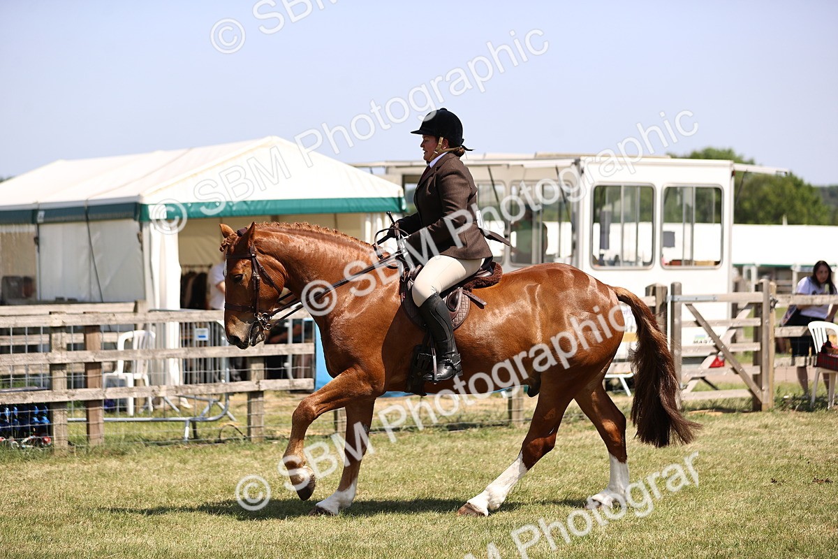 SBM_17731 - Class 81-83 - TSR Ridden Amateur of the Year - Horses