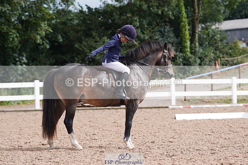 240809A-100108-00399 - Dressage Competition