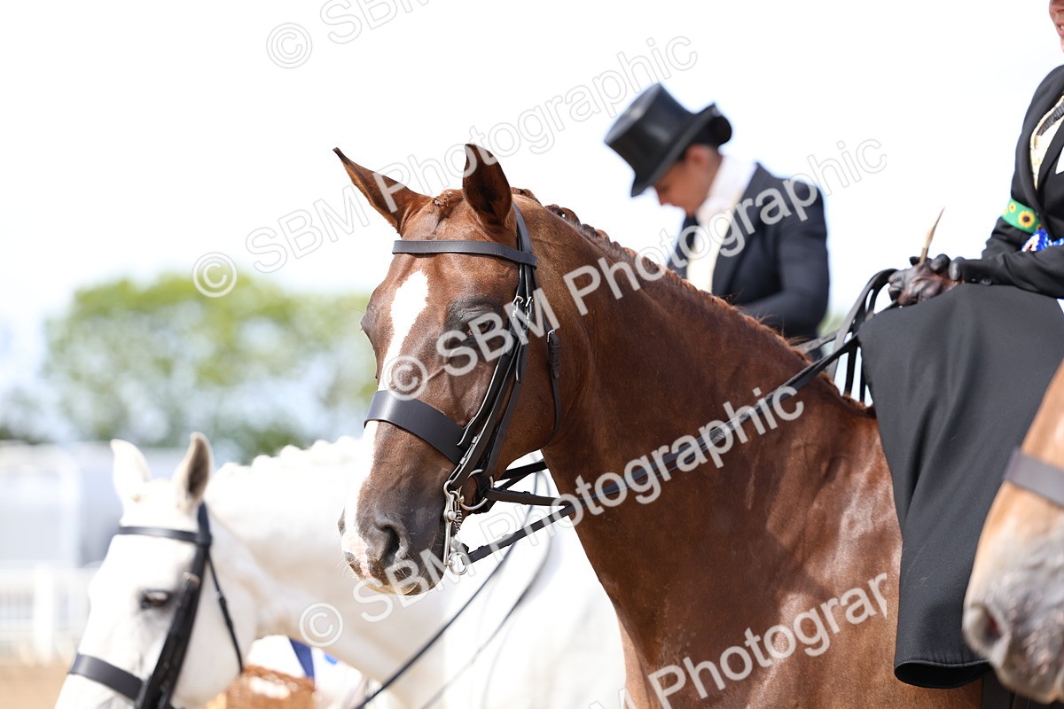 SBM_03277 - Class 22 - SSA Equitation (any age)