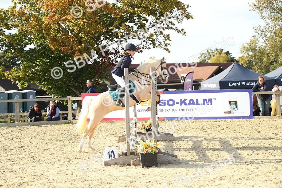 SBM_53597 - J8 - Junior Pony 65cm Championship