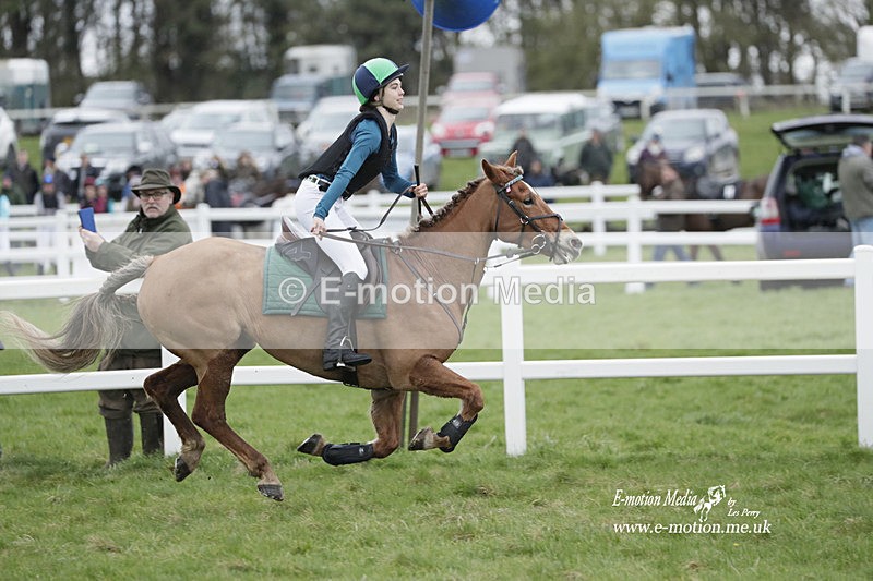 PtP 260323 0059 - New Forest Hounds Point-to-Point Larkhill 26/03/23