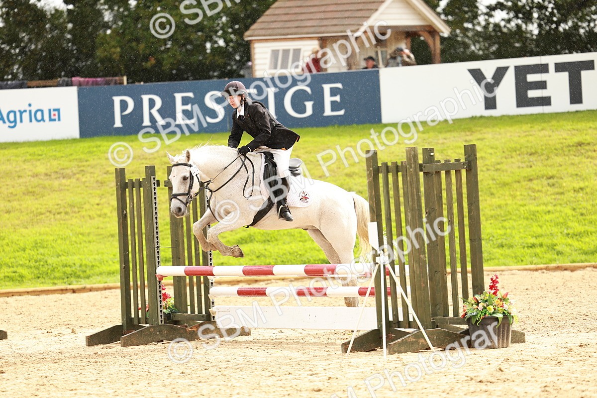 SBM_38381 - Supreme Championship 80cm 85cm