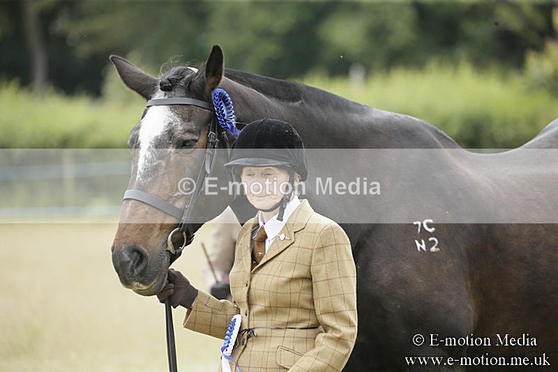 B230619-0595 - Bourne Valley Riding Club Summer Show 23/06/19