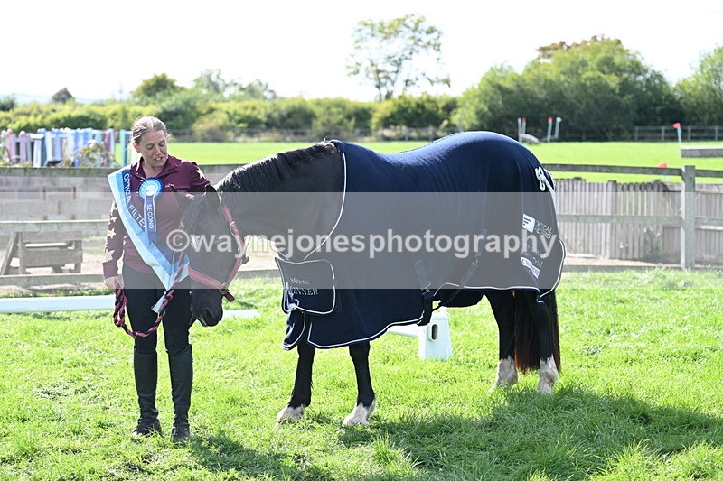 WJ7_1716 - 80cm Champs