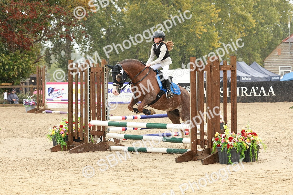 SBM_69349 - J13 - Junior Pony 60cm Championship