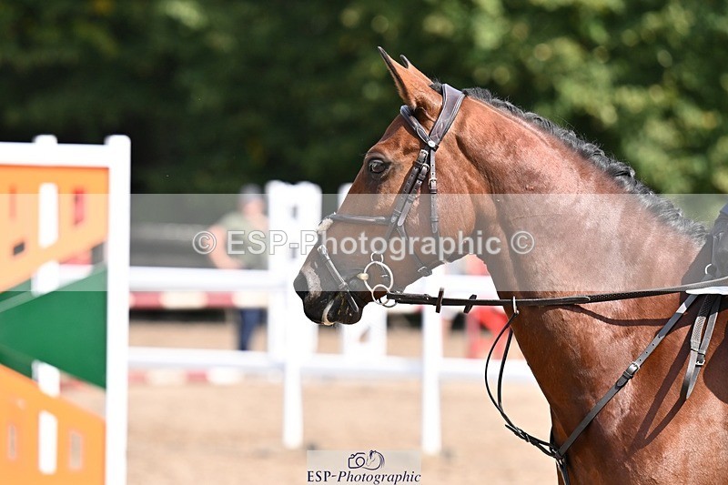 250823A-135611-30771 - NAF Round 1 13.30 to 14.30