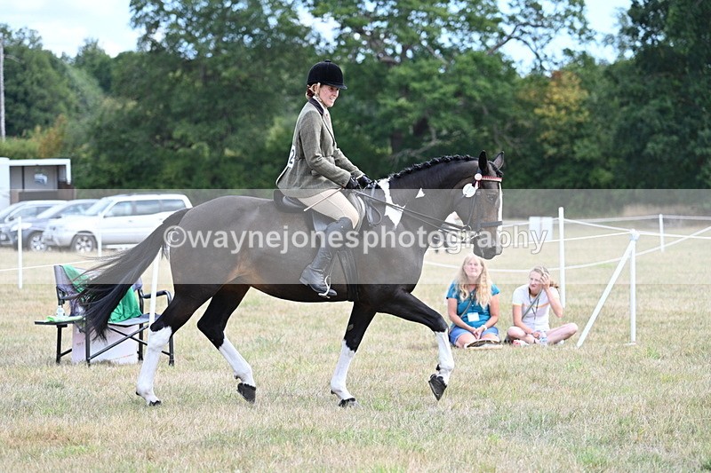 WJ7_5922 - Class 13 Ridden Veterans