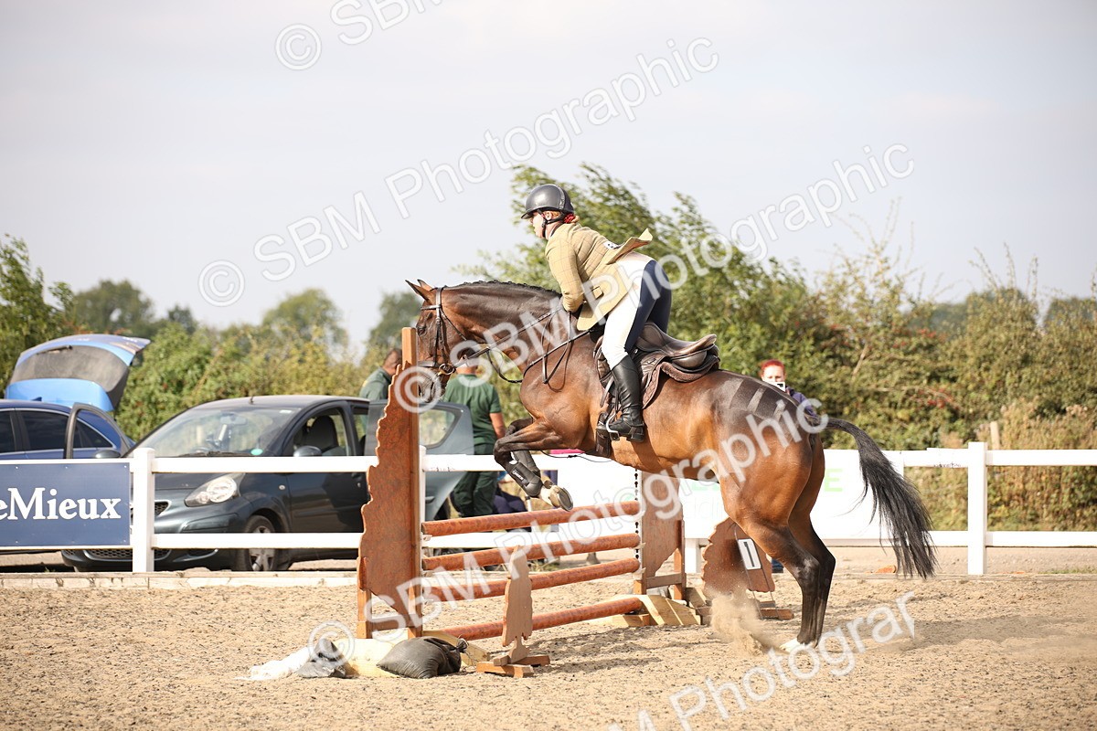 SBM_17283 - Class 410a - Wor5king Veteran 90cm (15-19)