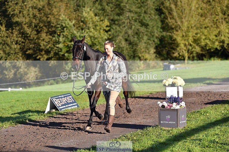 231022-093344-21876 - 502-REBEL.ON.THE.RUN-Ida.Strandberg-TrotUp+SJ