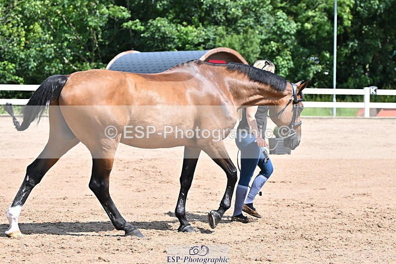 240718A-105240-01005 - Trot Up 11am to 12pm