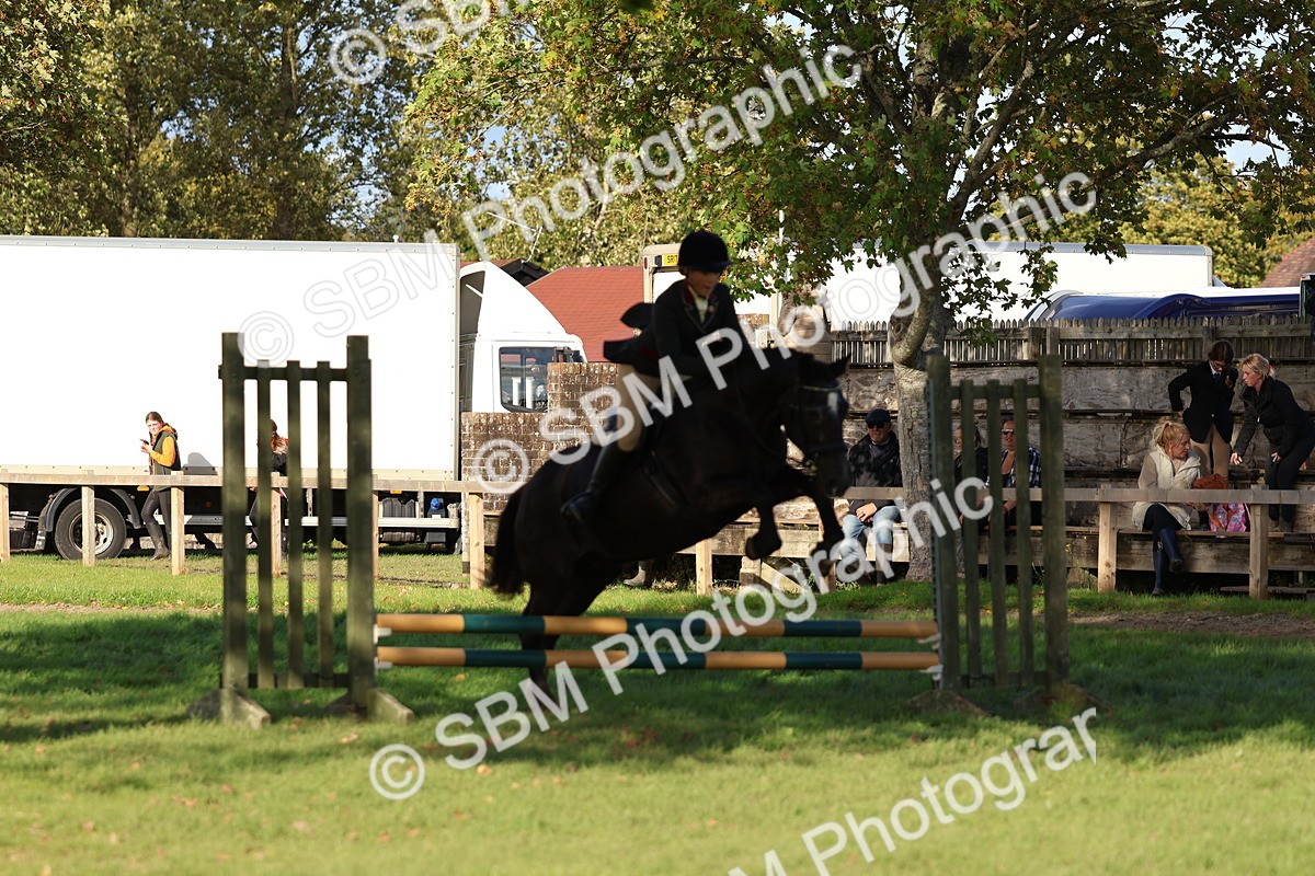 SBM_52527 - S13 - Pony Club Pony