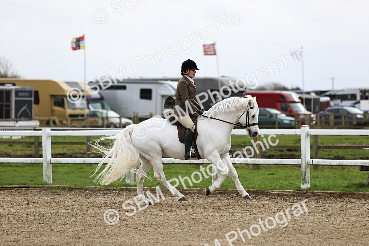 SBM_006928 - Class 29 - 30 - M&M Pure Novice Small-Large Breeds