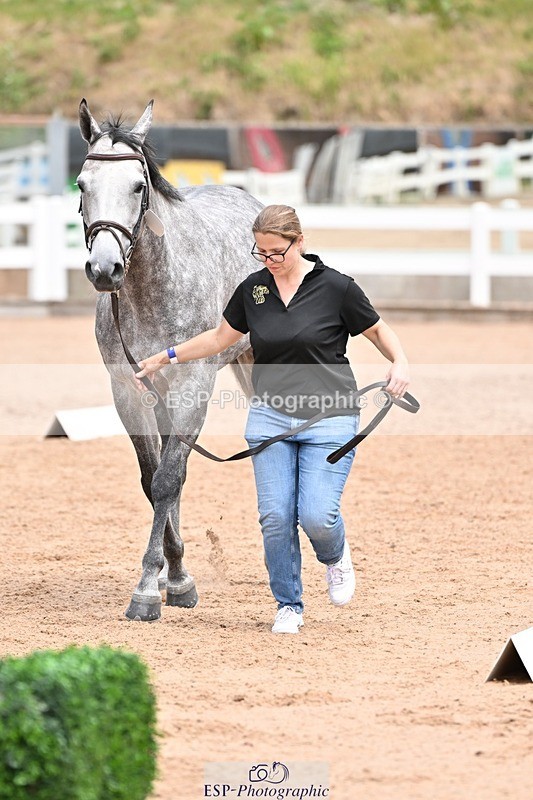 250716-142202-01043 - Trot Up 1.30 to 2.30