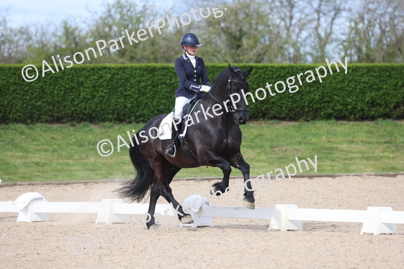 20260405-0229 - Class 3 - Novice 5