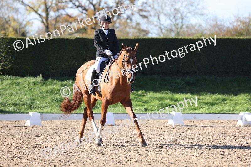 20251102-0942 - Class 5 - Elementary 5