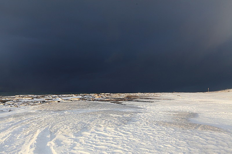 Winter 25 - Latest Photos