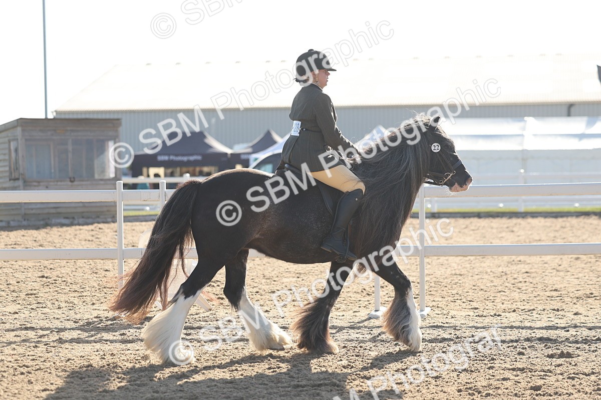 SBM_22190 - Class 802 - Ridden Groom Helpers Class