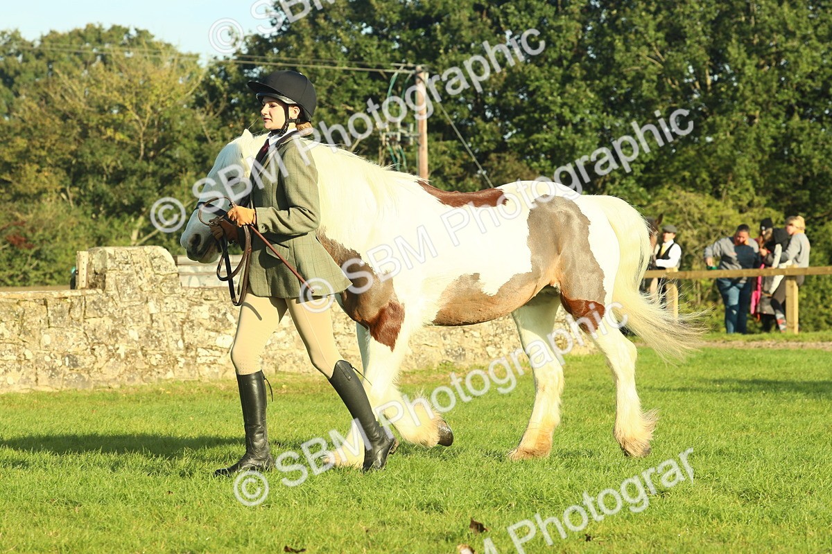 SBM_57434 - S37 - Starters In Hand Showing
