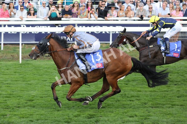 yr20082022r5-17 - Race 5 4.10pm Sky Bet Constantine Stakes